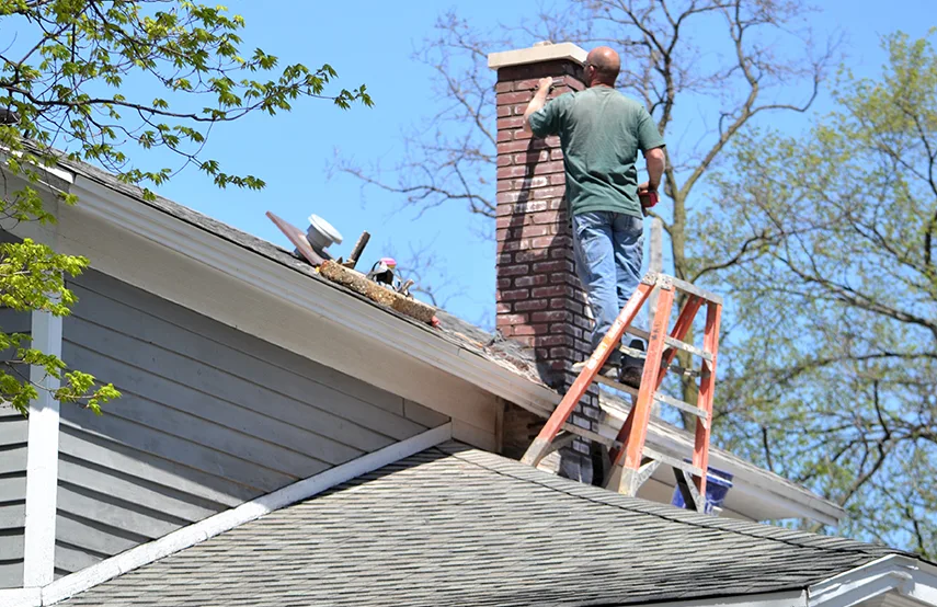 Chimney & Fireplace Inspections Services in Kaneohe, HI